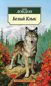 Белый клык